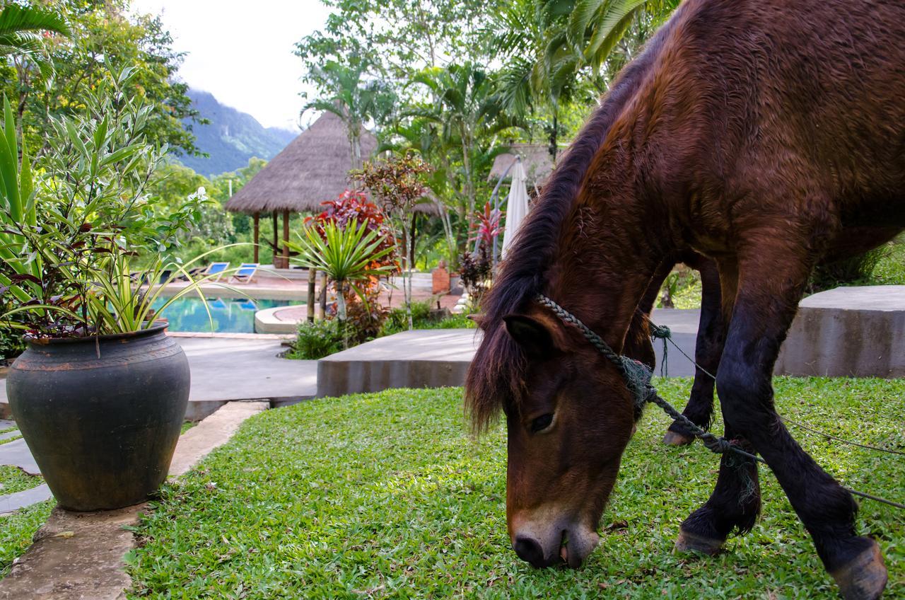 Hillside - Nature Lifestyle Lodge Luang Prabang Extérieur photo