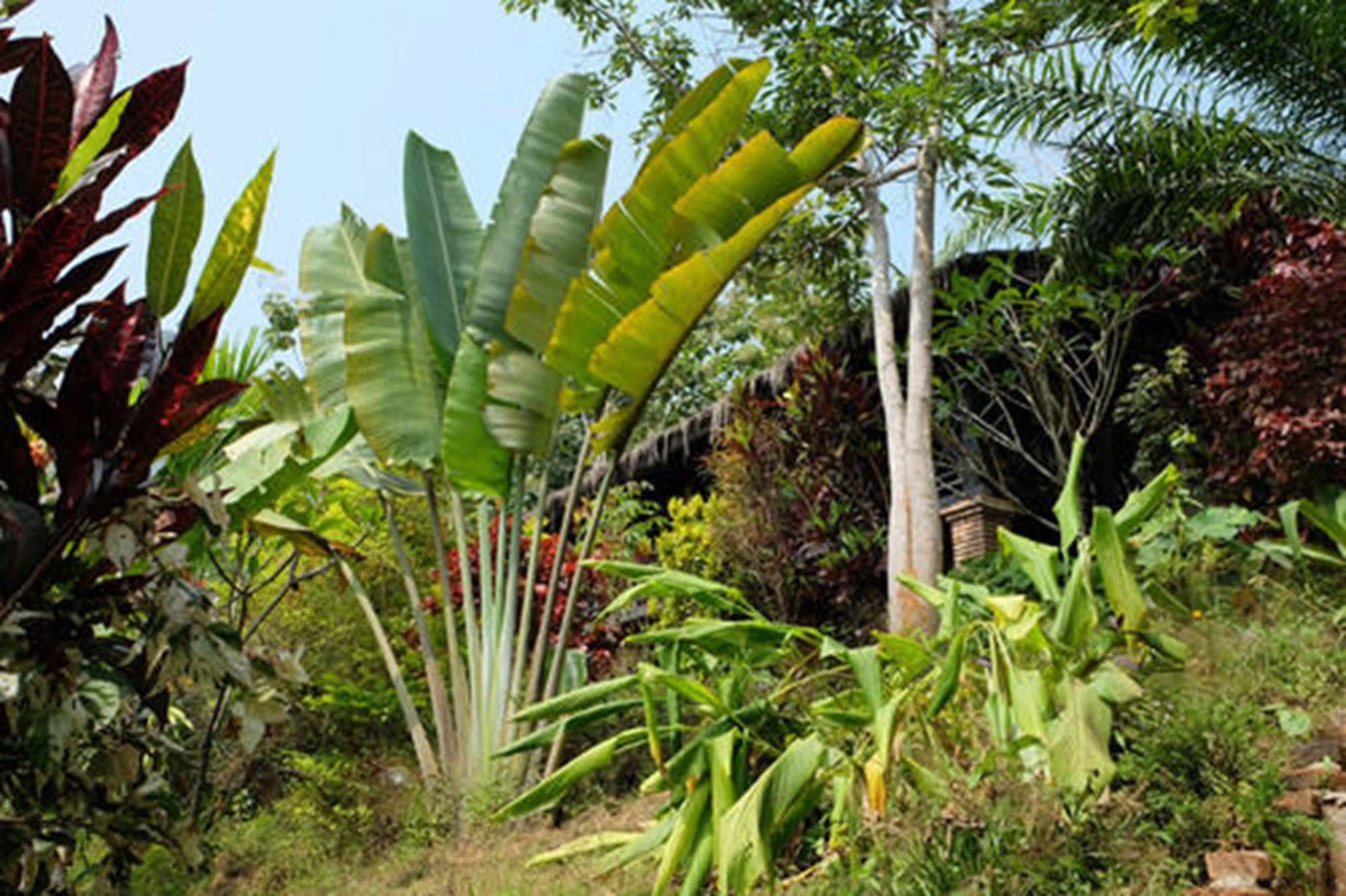 Hillside - Nature Lifestyle Lodge Luang Prabang Extérieur photo