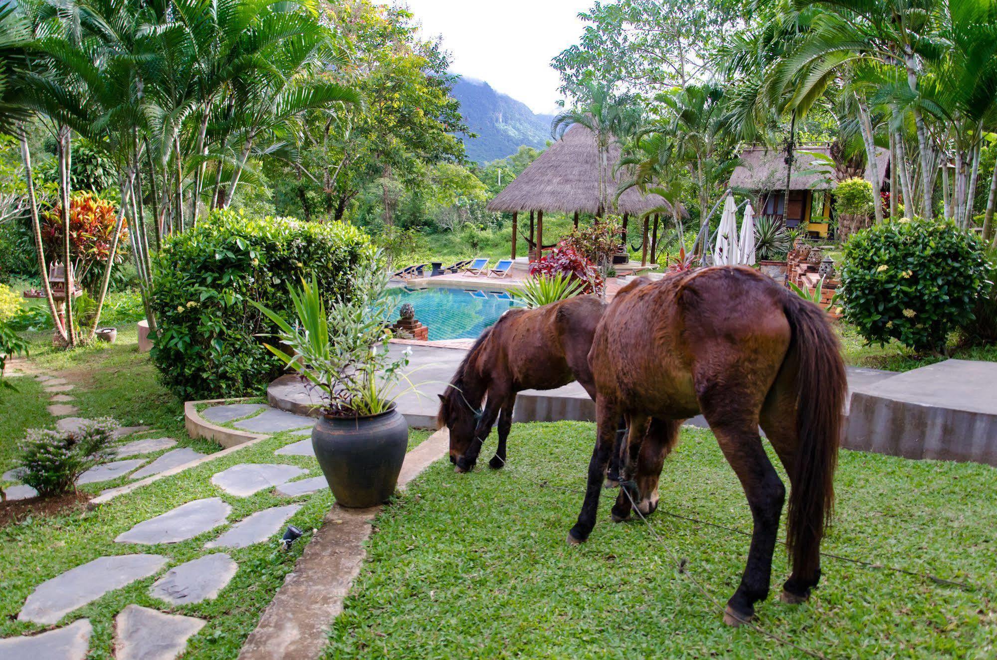 Hillside - Nature Lifestyle Lodge Luang Prabang Extérieur photo